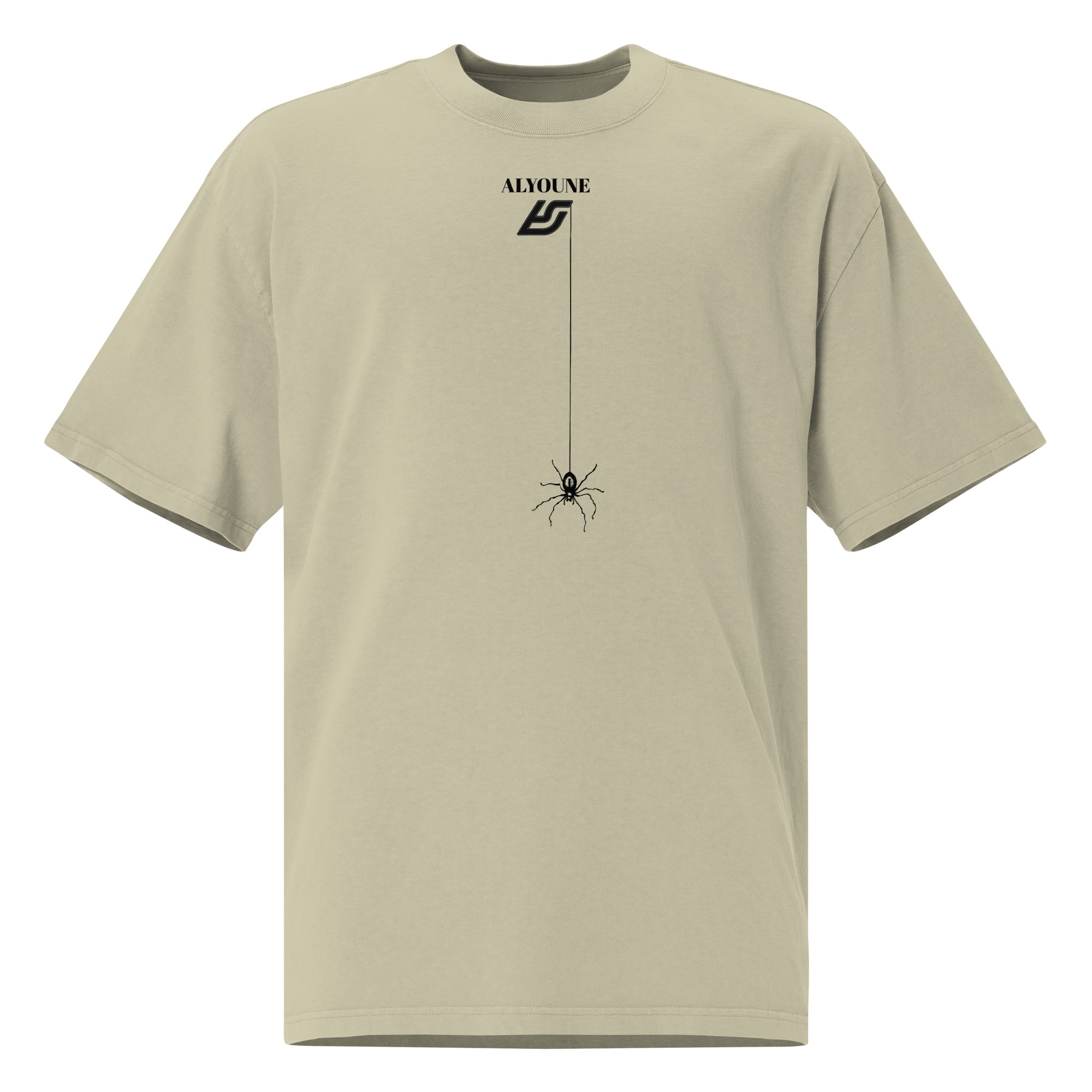 Spider hanging Oversized faded t-shirt