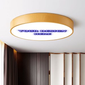 Modern Flush Mount LED Ceiling Light